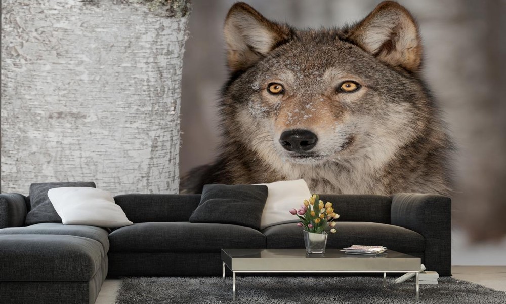 Fototapety przeznaczone do Restauracji