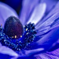 Fototapeta – z jakiego materiału jest wykonana?