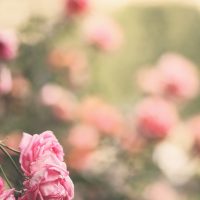 Fototapety dla kobiety